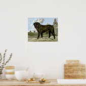 Poster Mastiff en anglais noir (Cuisine)