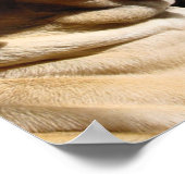 Poster Mastiff Pair (Coin)