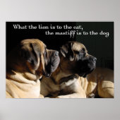 Poster Mastiff Pair (Devant)