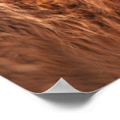 Poster Mastiff tibétain rouge (Coin)