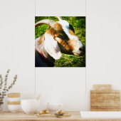 Poster mat 24x24. Chèvre. Personnalisez! (Cuisine)