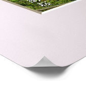 Poster Matabei-Zakura Cerisier Pleureur (Coin)