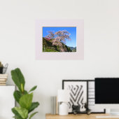 Poster Matabei-Zakura Cerisier Pleureur (Bureau à domicile)