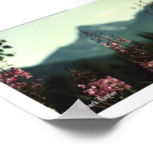 Poster Matanuska Peak et Fireweed #01, (C) Jack Taylo... (Coin)