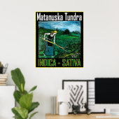 POSTER MATANUSKA TUNDRA INDICA SATIVA (Bureau à domicile)