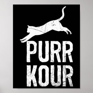 Poster Matériel de parkour pour chats drôles de Purrkour