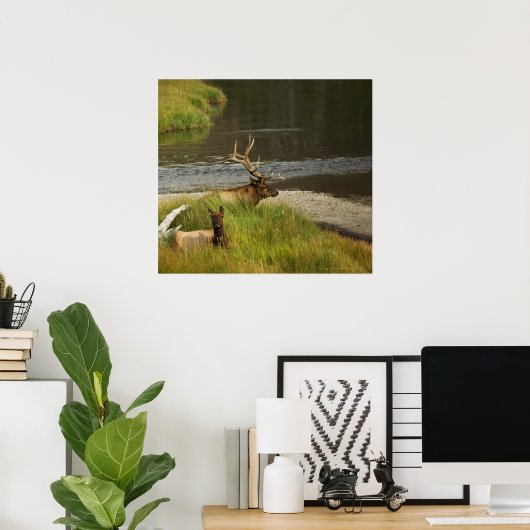 Poster Mates de Yellowstone Imprimer (Bureau à domicile)