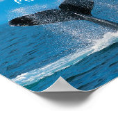 Poster MathBaleine (Coin)