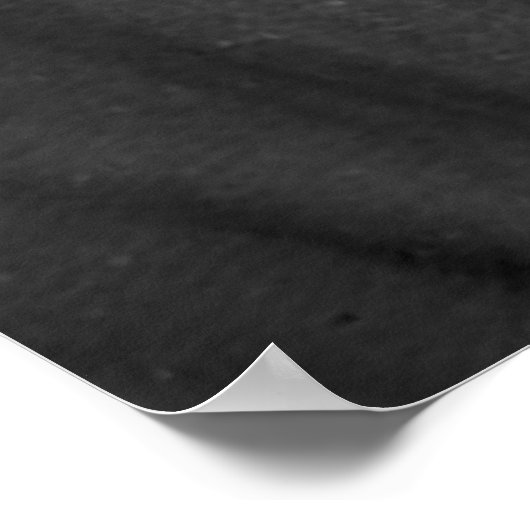 Poster Mathew Brady / Thaddeus Stevens / (Coin)