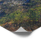 Poster Matin au sommet du mont Cadillac à Acadia (Coin)