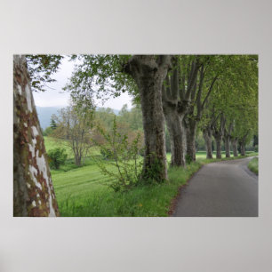 Poster Matin brumeux dans la copie de la Provence