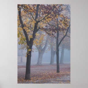 Poster Matin brumeux dans le parc de la cathédrale