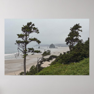 Poster Matin brumeux sur Cannon Beach, Oregon