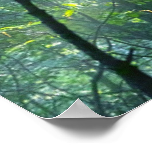 Poster Matin dans la forêt (Coin)