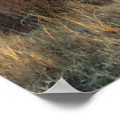 Poster Matin dans le Tennessee (Coin)