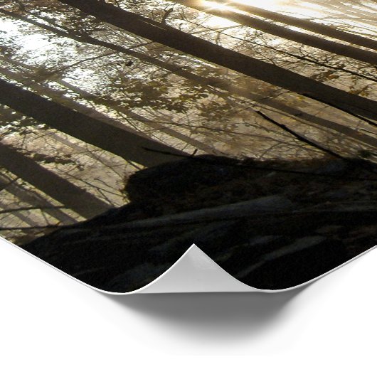 Poster Matin dans les bois de Pennsylvanie (Coin)