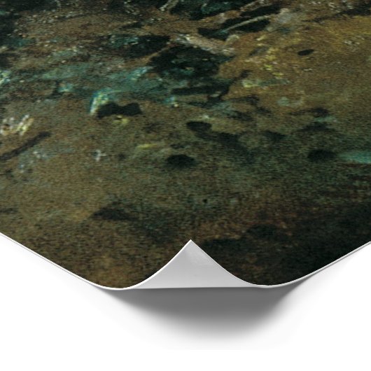 Poster Matin dans une forêt de pins (Coin)