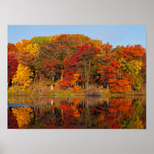 Poster matin d'automne au parc et étang de marthaler