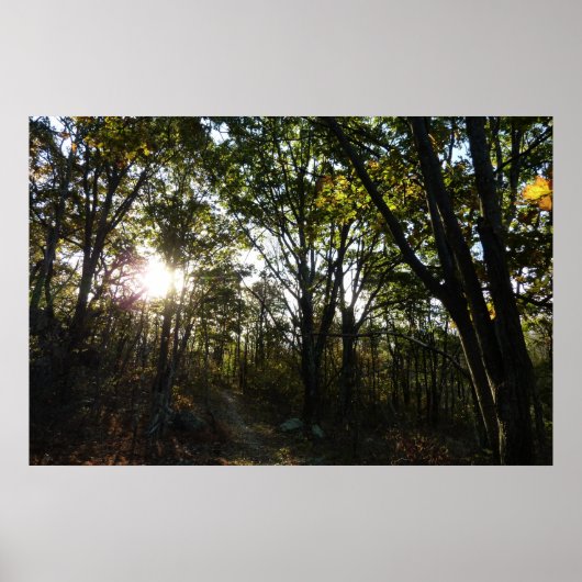 Poster Matin d'automne au parc national de Shenandoah (Devant)