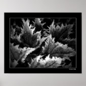 Poster Matin de cristal (Devant)