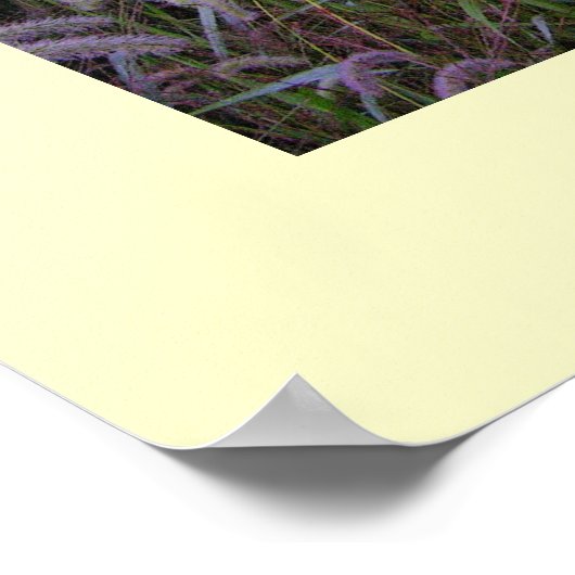 Poster Matin d'été (Coin)