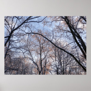Poster Matin d'hiver II Paysage naturel