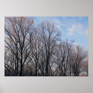 Poster Matin d'hiver III Paysage naturel