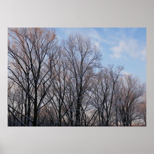 Poster Matin d'hiver III Paysage naturel (Devant)