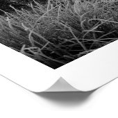 Poster Matin d'hiver : Strandshag Bay, Derwentwater Post (Coin)