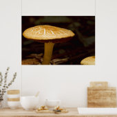 Poster Matin d'or (Cuisine)