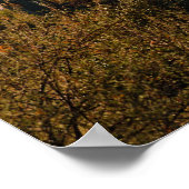 Poster Matin du désert (Coin)