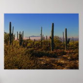 Poster Matin du désert (Devant)