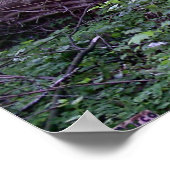 Poster Matin en haut (Coin)