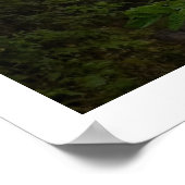 Poster Matin mystique sur le sentier des Appalaches (Coin)