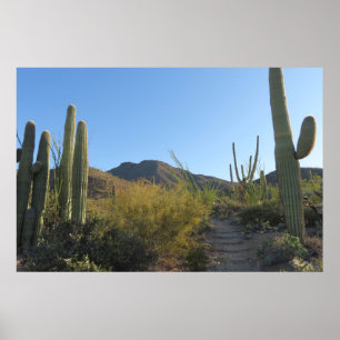 Poster Matin sur le sentier de King Canyon