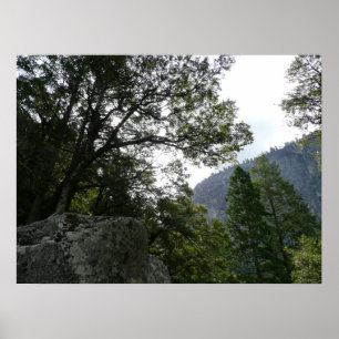 Poster Matin sur le sentier menant à Vernal Falls dans Yo