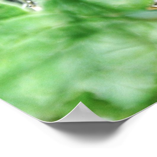 Poster Matroshka dans une patte de champignon (Coin)