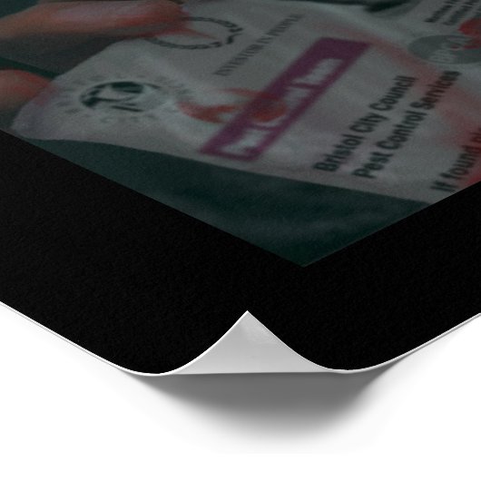 Poster Matt, Le Chasseur De Vampire Pas Particulièrement (Coin)