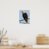 Poster (Matte) 12x16 avec aigle (Cuisine)