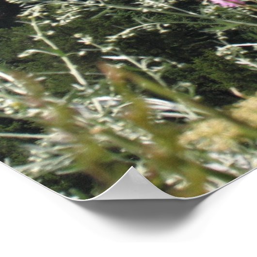 Poster Matterhorn Mountain (Coin)