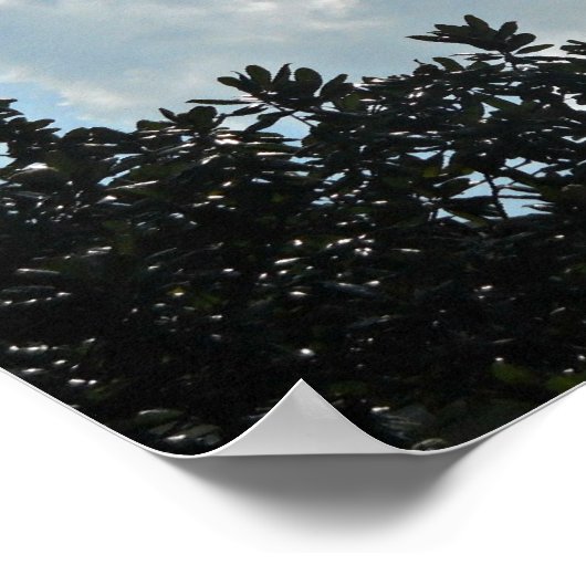 Poster Matthew 25:13 Watch therefore, for ye know.... (Coin)