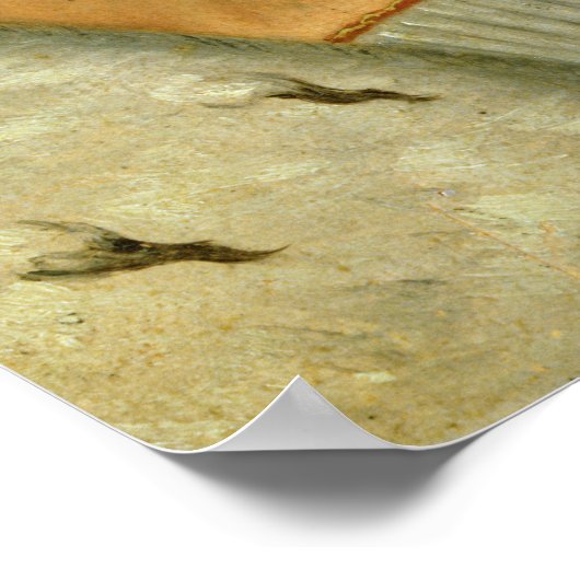 Poster Matthias I, Hunyadi (Coin)