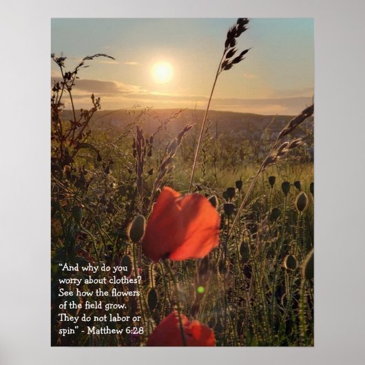 Poster Matthieu 6:28 Les coquelicots au coucher du soleil (Devant)