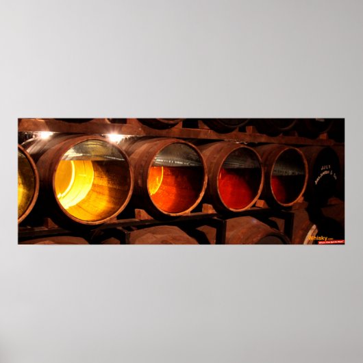 Poster Maturation (Devant)