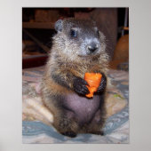 Poster Maude 1 (Devant)