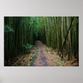 Poster Maui (Devant)