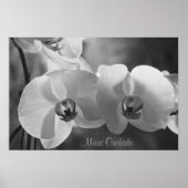 Poster Maui Orchidées (Devant)