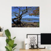 POSTER MAUNA KEA SUR LA BAIE D'HILO (Bureau à domicile)