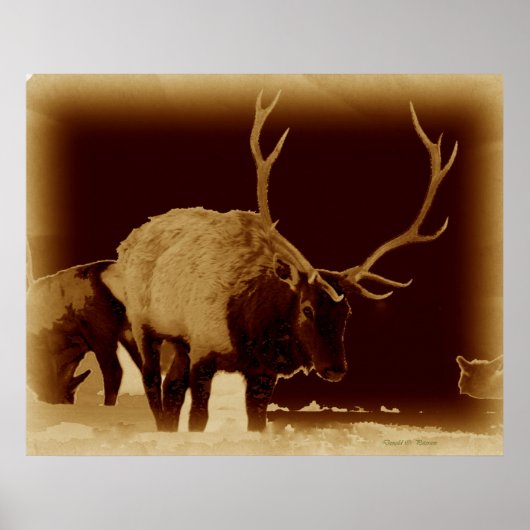 Poster mauvais 2 l'os (Devant)