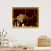 Poster mauvais 2 l'os (Cuisine)